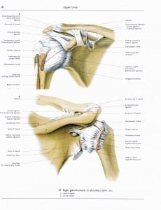 Trial Exhibit 3 - AC Joint